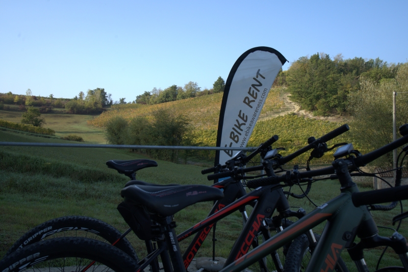 E-Bike Awareness