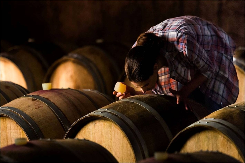 Degustazioni in cantina